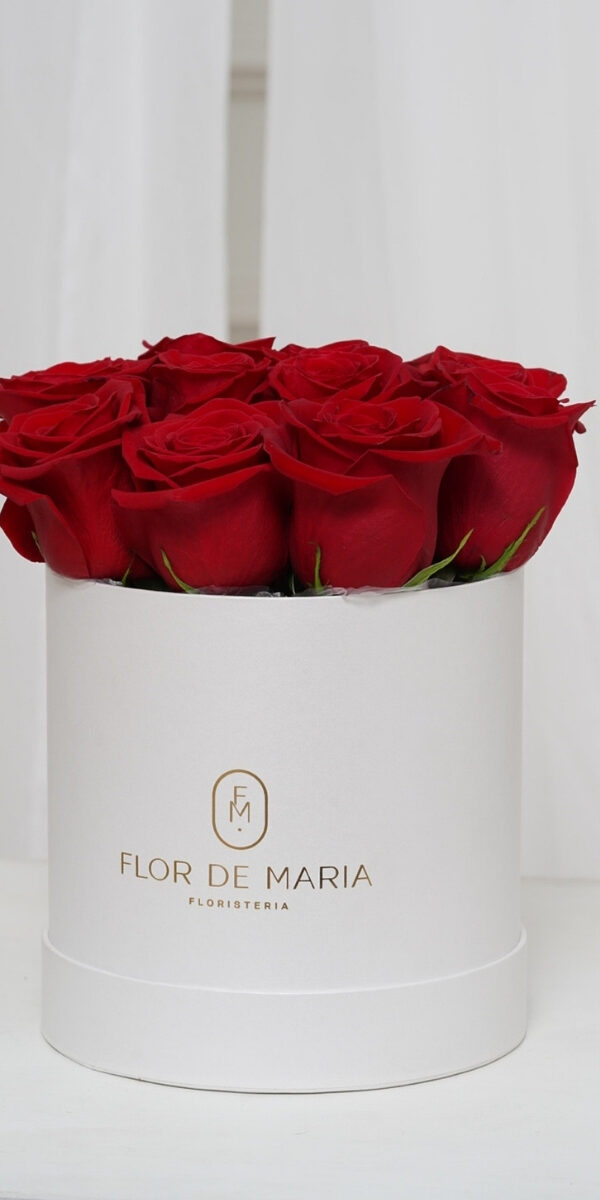 ARREGLO ARMONÍA ROJO