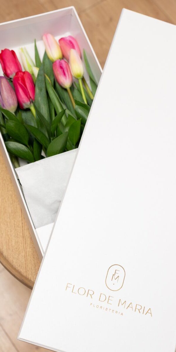 CAJA TULIPANES MULTICOLORES