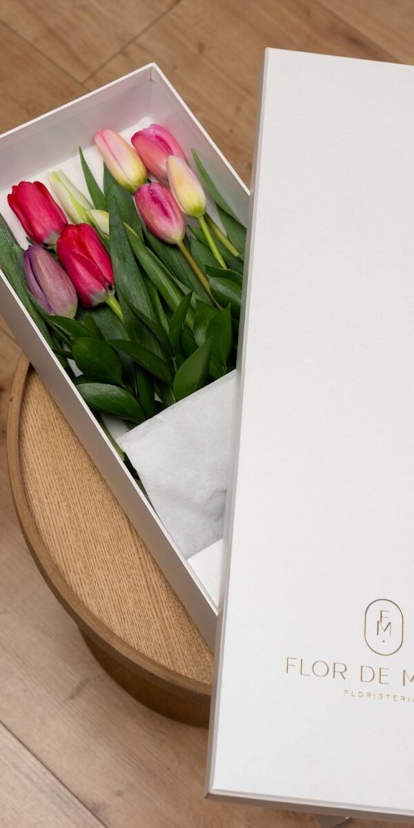 CAJA TULIPANES