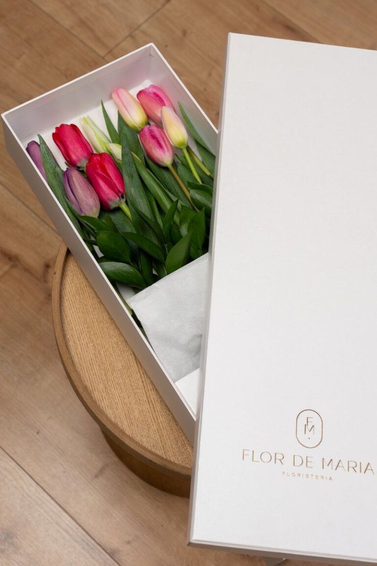 CAJA TULIPANES