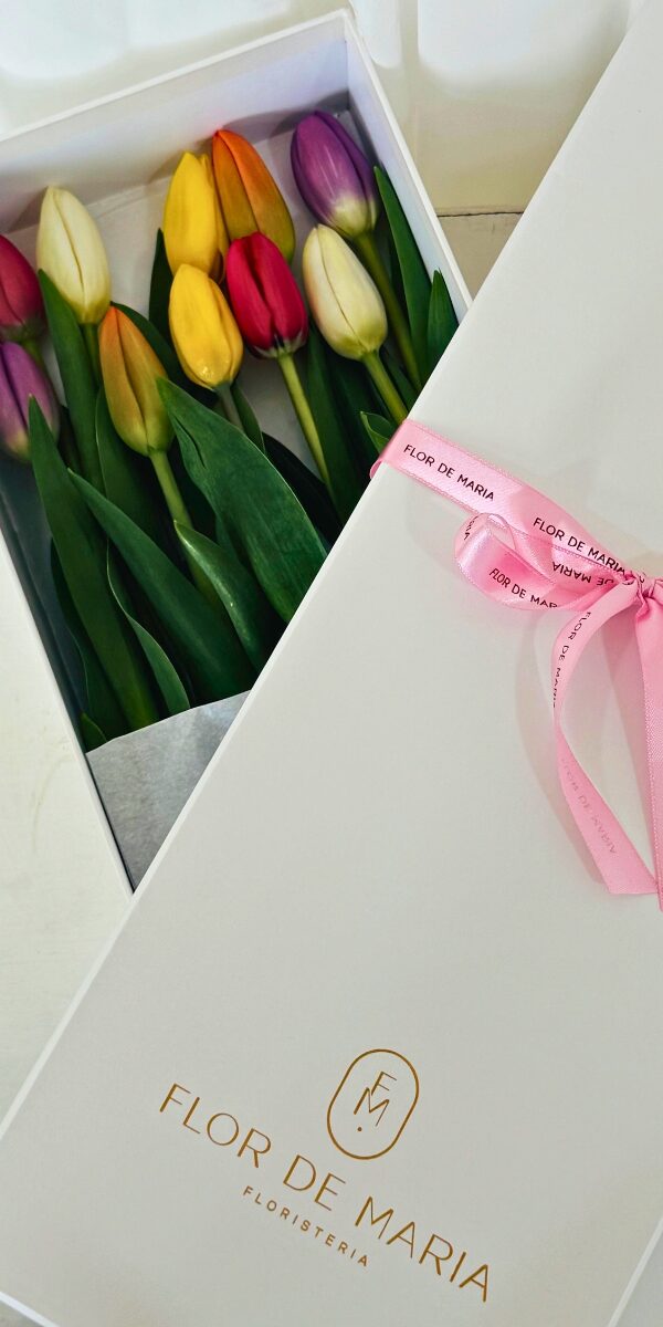 CAJA TULIPANES MULTICOLORES