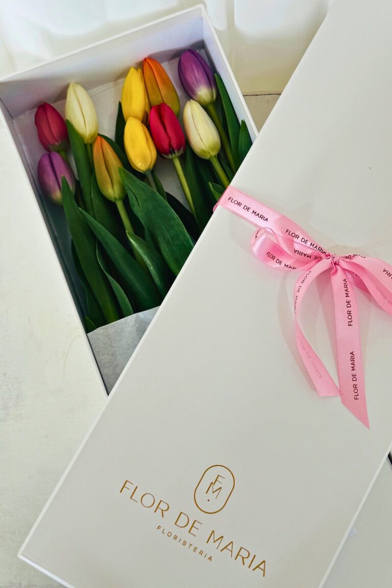 CAJA TULIPANES MULTICOLORES